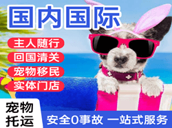 普宁空运地址国际宠物托运 【国